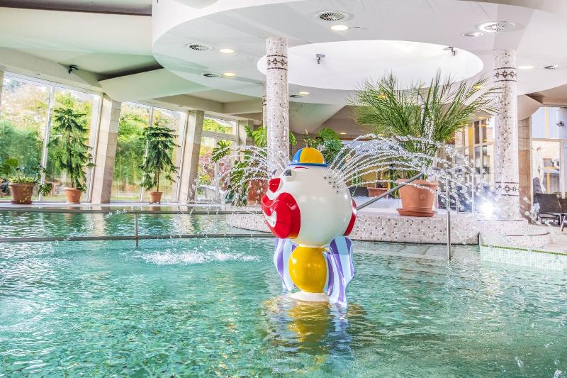 Residence Hotel Balaton**** superior - Havuz