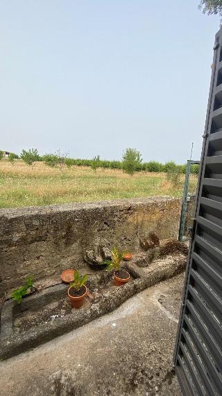 Casa Das Jardas fotoÄŸrafÄ±