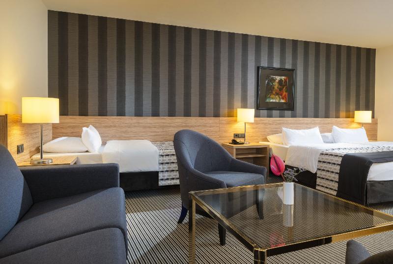 Maritim Hotel Königswinter - Oda