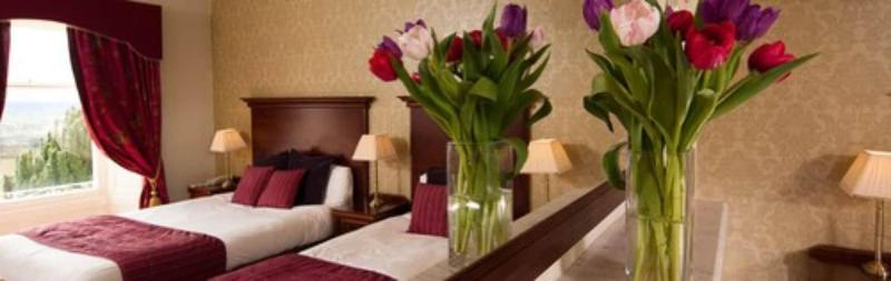 Roundthorn Country House & Luxury Apartments - Oda