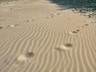 Braye Beach fotoÄŸrafÄ±