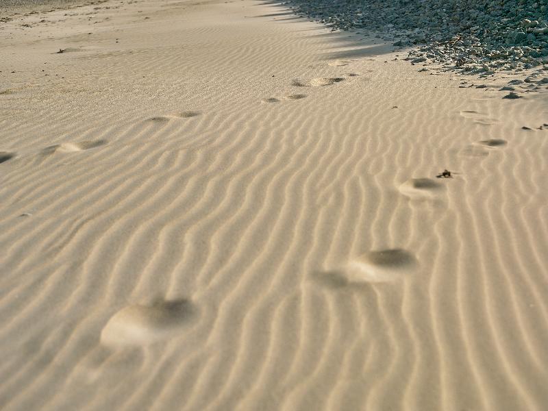 Braye Beach - Plaj