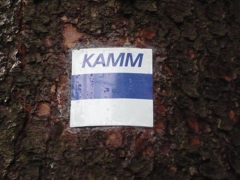 Erbgericht Buntes Haus - Aktivite