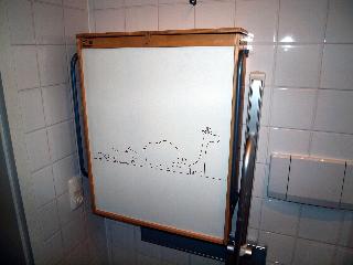 Bellevue fotoÄŸrafÄ±