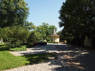 Bellevue fotoÄŸrafÄ±