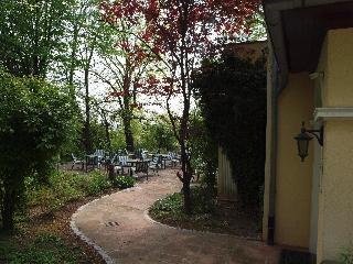 Bellevue fotoÄŸrafÄ±