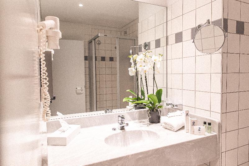 PLAZA INN Zwickau - Oda