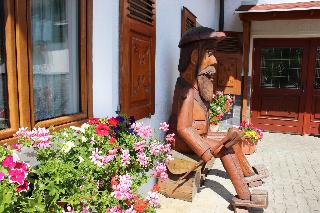 Landhotel Gasthof Zwota fotoÄŸrafÄ±