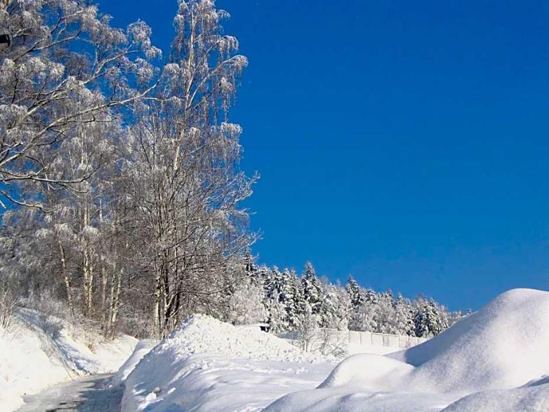 Landhotel Gasthof Zwota - Genel
