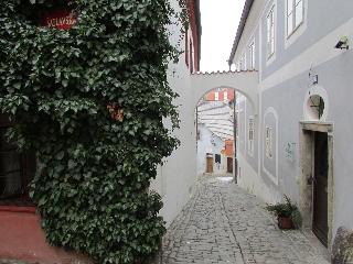 Peregrin fotoÄŸrafÄ±