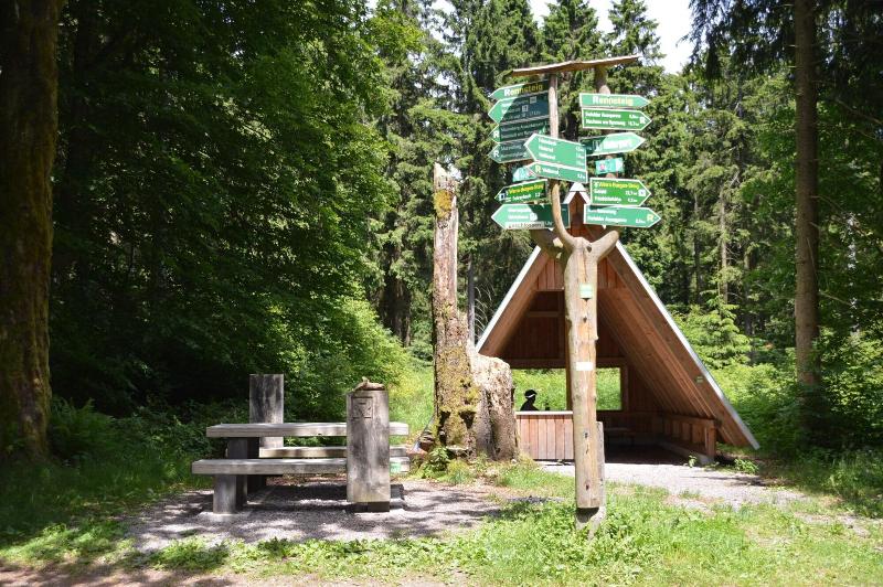 Auerhahn am Rennsteig Kurhotel - Genel