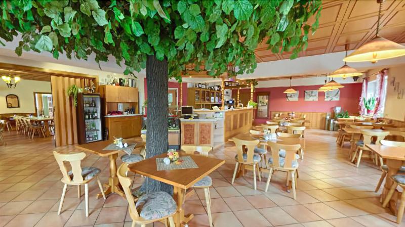 Auerhahn am Rennsteig Kurhotel - Restoran