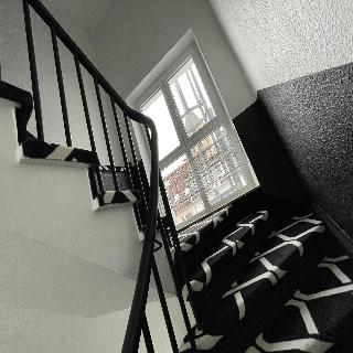 Domspatz fotoÄŸrafÄ±