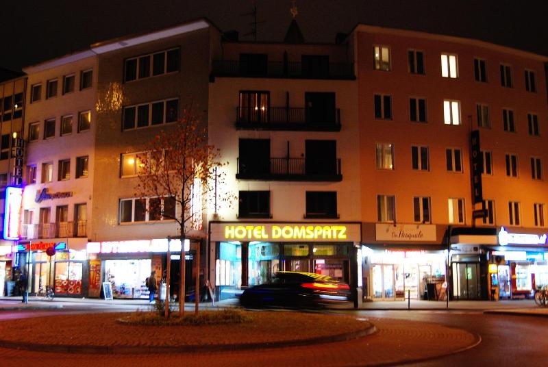 Domspatz - Genel