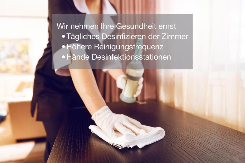 Domspatz - Genel