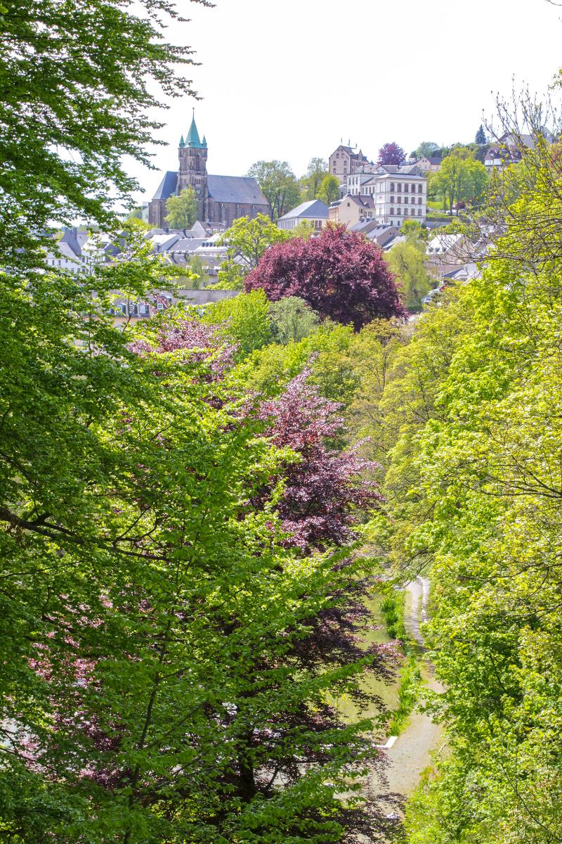 Parkhotel Waldschlösschen - Genel