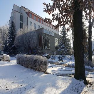 Park fotoÄŸrafÄ±