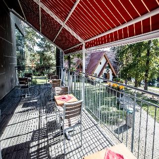 Park fotoÄŸrafÄ±