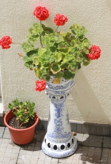 Dona Leonor fotoÄŸrafÄ±