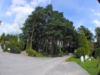 Ty Newydd Country Hotel fotoÄŸrafÄ±