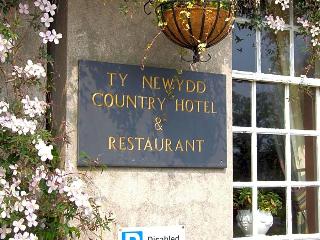 Ty Newydd Country Hotel fotoÄŸrafÄ±