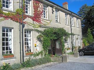 Ty Newydd Country Hotel fotoÄŸrafÄ±