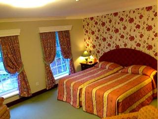 Ty Newydd Country Hotel fotoÄŸrafÄ±