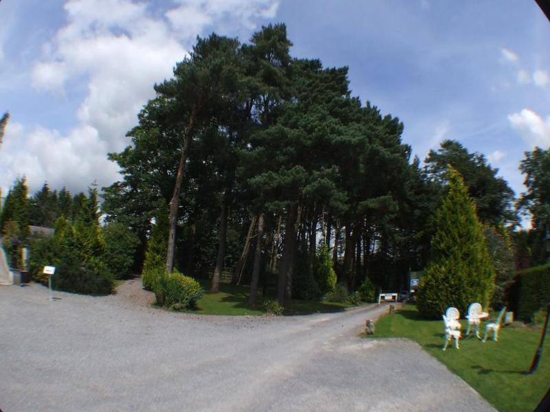 Ty Newydd Country Hotel - Genel