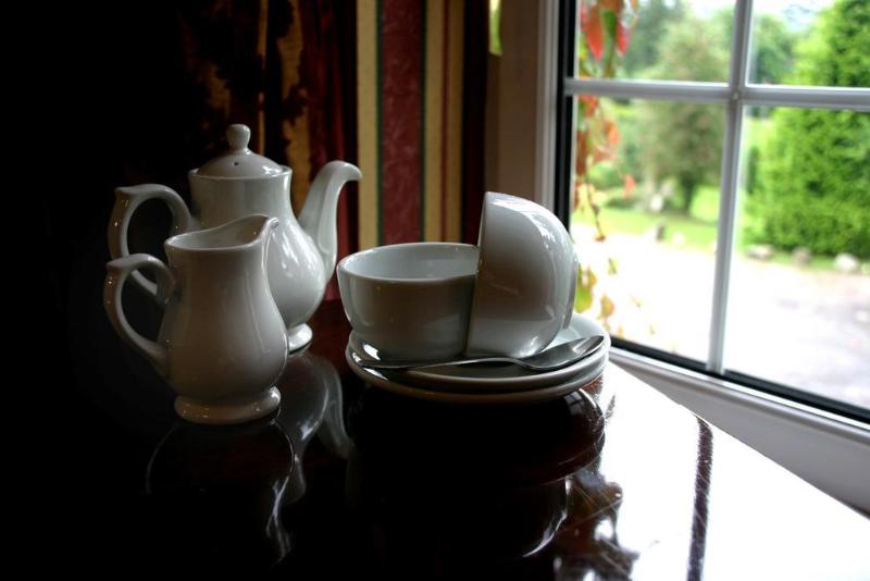 Ty Newydd Country Hotel - Genel