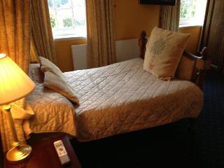 Ty Newydd Country Hotel fotoÄŸrafÄ±