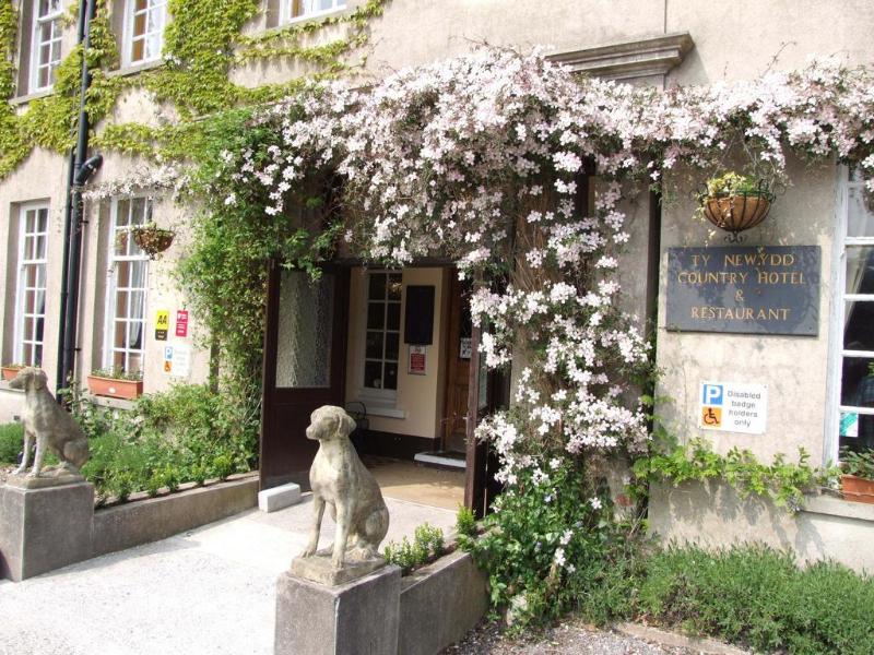Ty Newydd Country Hotel - Genel