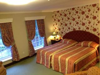Ty Newydd Country Hotel fotoÄŸrafÄ±