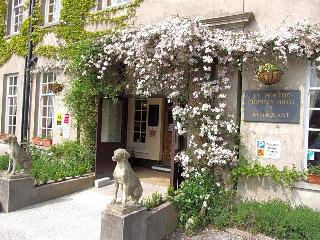 Ty Newydd Country Hotel fotoÄŸrafÄ±