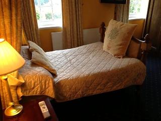 Ty Newydd Country Hotel otel fotoğrafı