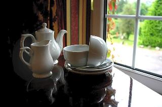Ty Newydd Country Hotel fotoÄŸrafÄ±
