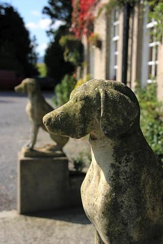 Ty Newydd Country Hotel fotoÄŸrafÄ±
