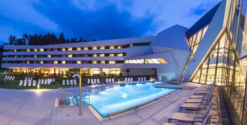 Thermenhotel Karawankenhof - Havuz