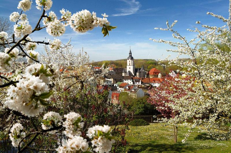 Schwanefeld - Genel