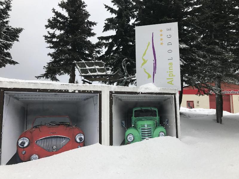 Alpina Lodge Hotel - Genel