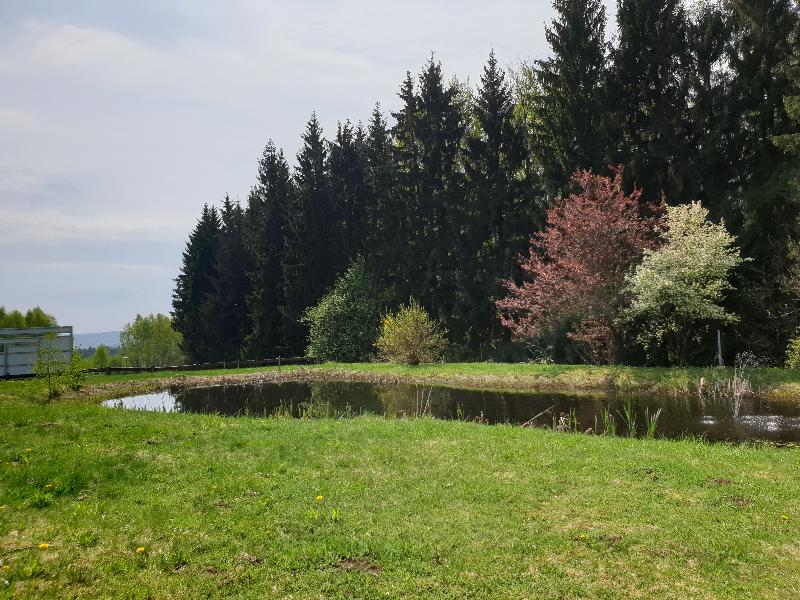 Berghotel Drei Brüder Höhe - Genel