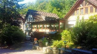Siegerland-Hotel Köhler's Haus im Walde otel fotoğrafı