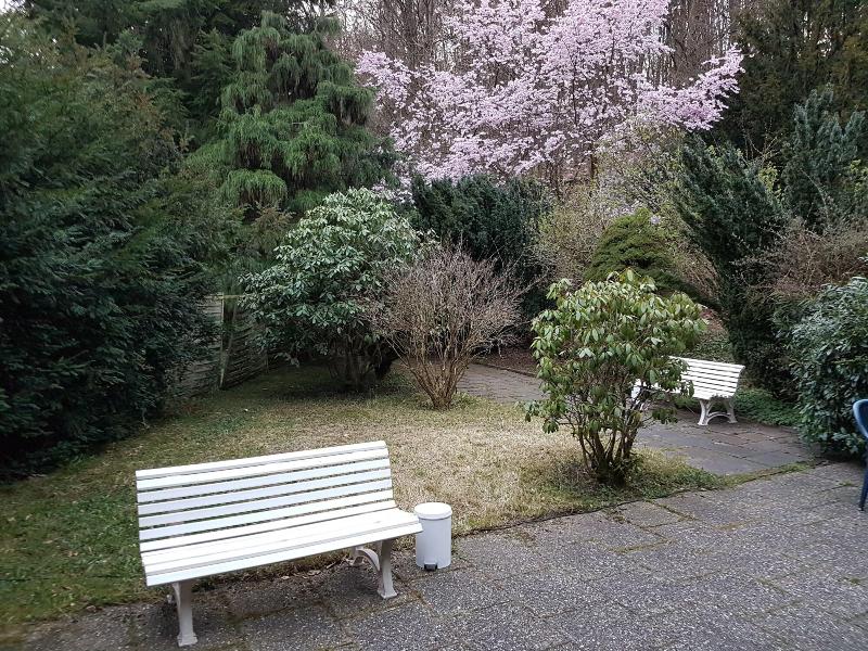 Siegerland-Hotel Köhler's Haus im Walde - Genel