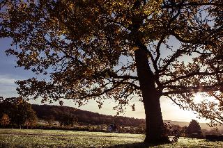 Ellenborough Park fotoÄŸrafÄ±