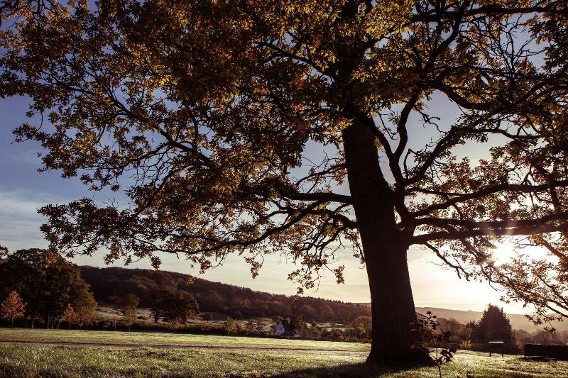 Ellenborough Park - Aktivite
