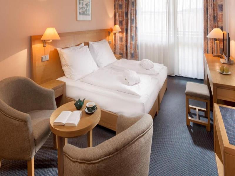 Wellness Hotel Frymburk - Oda