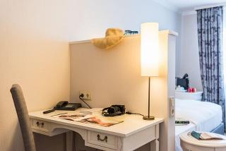 Lohmann's Romantik Hotel Gravenberg fotoÄŸrafÄ±