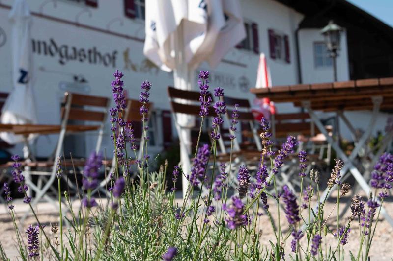 Landhotel Goldener Pflug - Teras