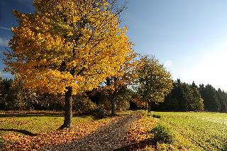 Kreuztanne fotoÄŸrafÄ±