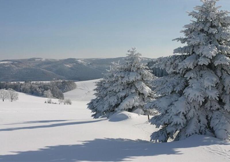 Kreuztanne - Genel