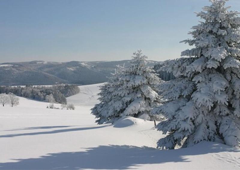 Kreuztanne - Genel